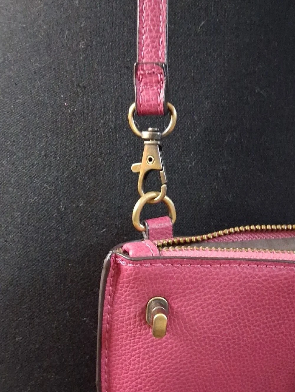 Joy Susan Mini Vegan Leathern crossbody Wristlet